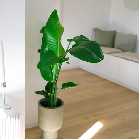 Koe27 - Modernes City-apartment Apartman