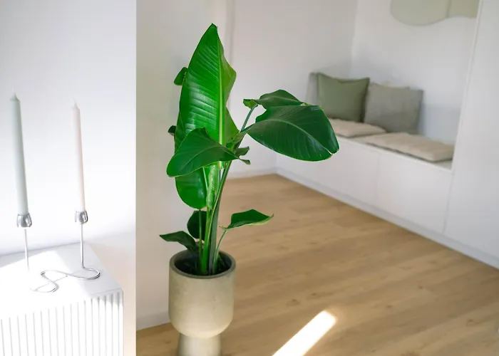 Koe27 - Modernes City-apartment Appartement